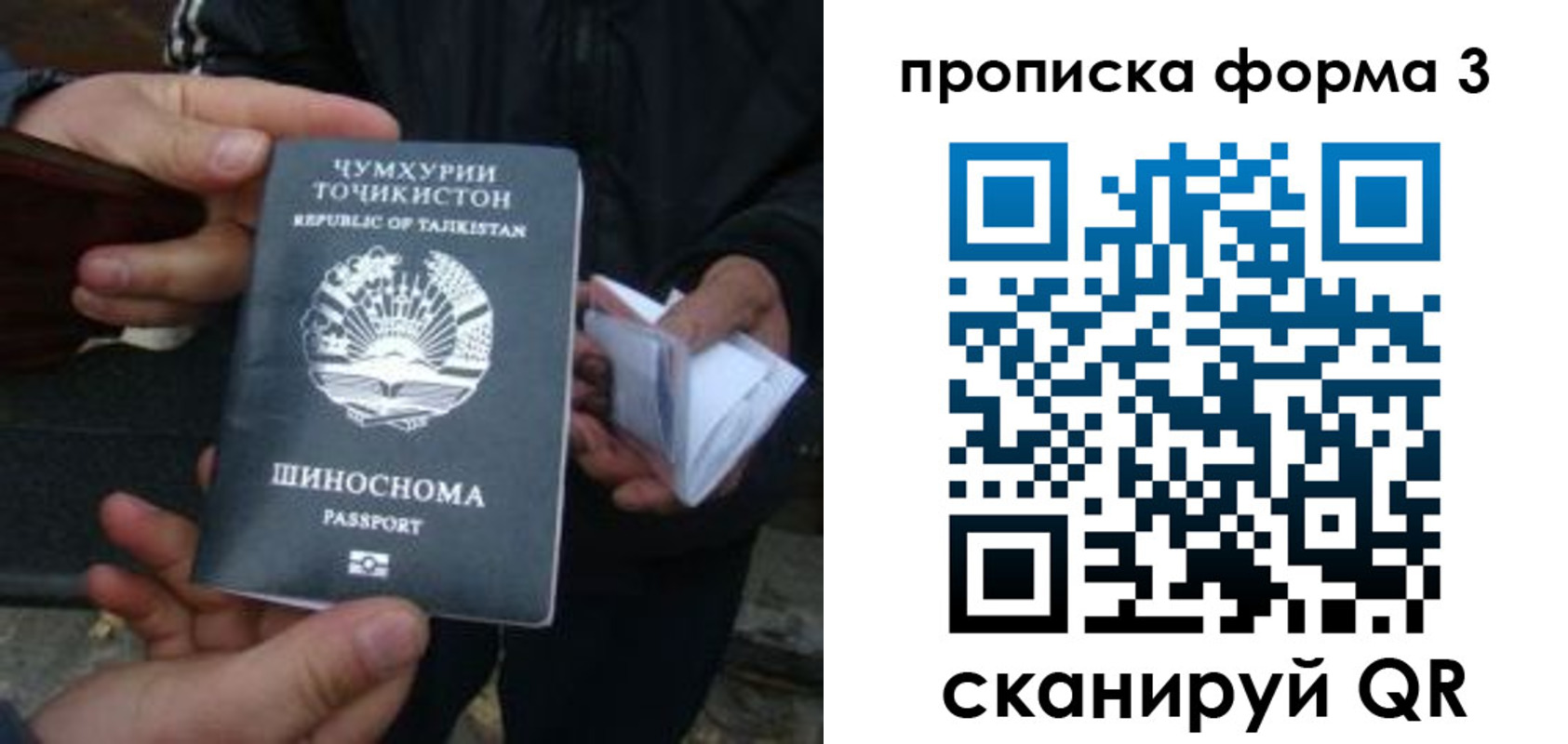 прописка 2025 в Данкове